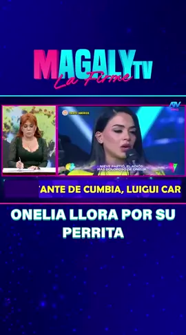 Onelia llora por su perrita 😢 La influencer sufrió la dolorosa pérdida de Nieve, su “hijita” de cuatro patas, tras un accidente fatal.  #MagalyTVLaFirme #atvpe  #atv #OneliaMolina #MarioIrivarren 
