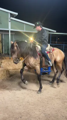 Una serenata a caballo 🐴❤️