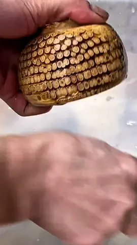 We are not selling products to you, but take natural beautiful things and happy life to you! Enjoy the nature together! #3hlink #Lavender #palmleaves #driedflowers #3hlinkflower #preservedflower #bohodecor #pampasgrass #hydrangea #homedecor #weddingdecoration #babybreath #handmadecrafts #hoteldecor #luxurydecor #flowerbouquet #flowerboxes #flowerbouquets #hydrangeas #christmasdecor #christmasflowers #preservedtree #witchbroom #christmas #driedflowerwholesale #cassiacinnamon #amarantus #willowbranch #minihaybales #decorhaybales