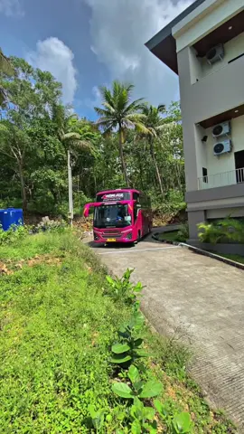 Redy medium jb5@Bismo Putro Trans @Jembar Rejeki @Jalur selatan air panas @mania basuri @Alyblue @RemukanBakwan @FYP | For You Positively @inug 