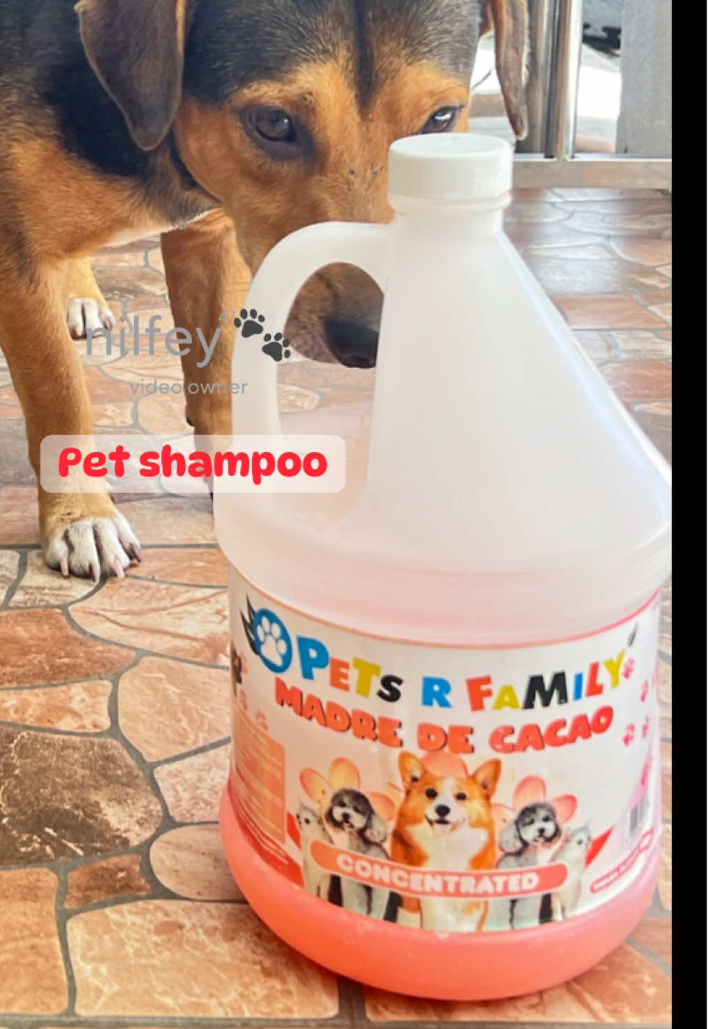 Madre de cacao #concentrated pet shampoo #furbabies 