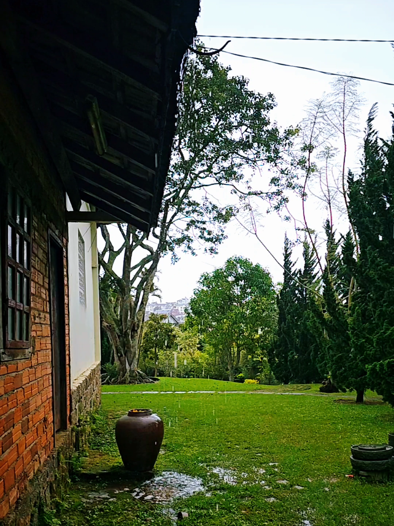 Mưa Đà Lạt gây thương nhớ và hoài niệm #dalat 