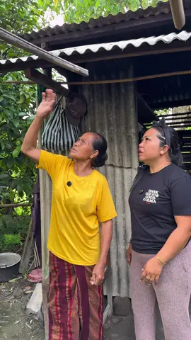 Bergayalah sesuai dengan kemampuan 😊 #domecando 