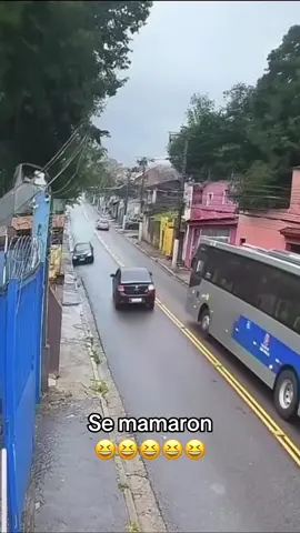 Gatos 🐈‍⬛ live #LIVEIncentiveProgram #LIVEStory #PaidPartnership 