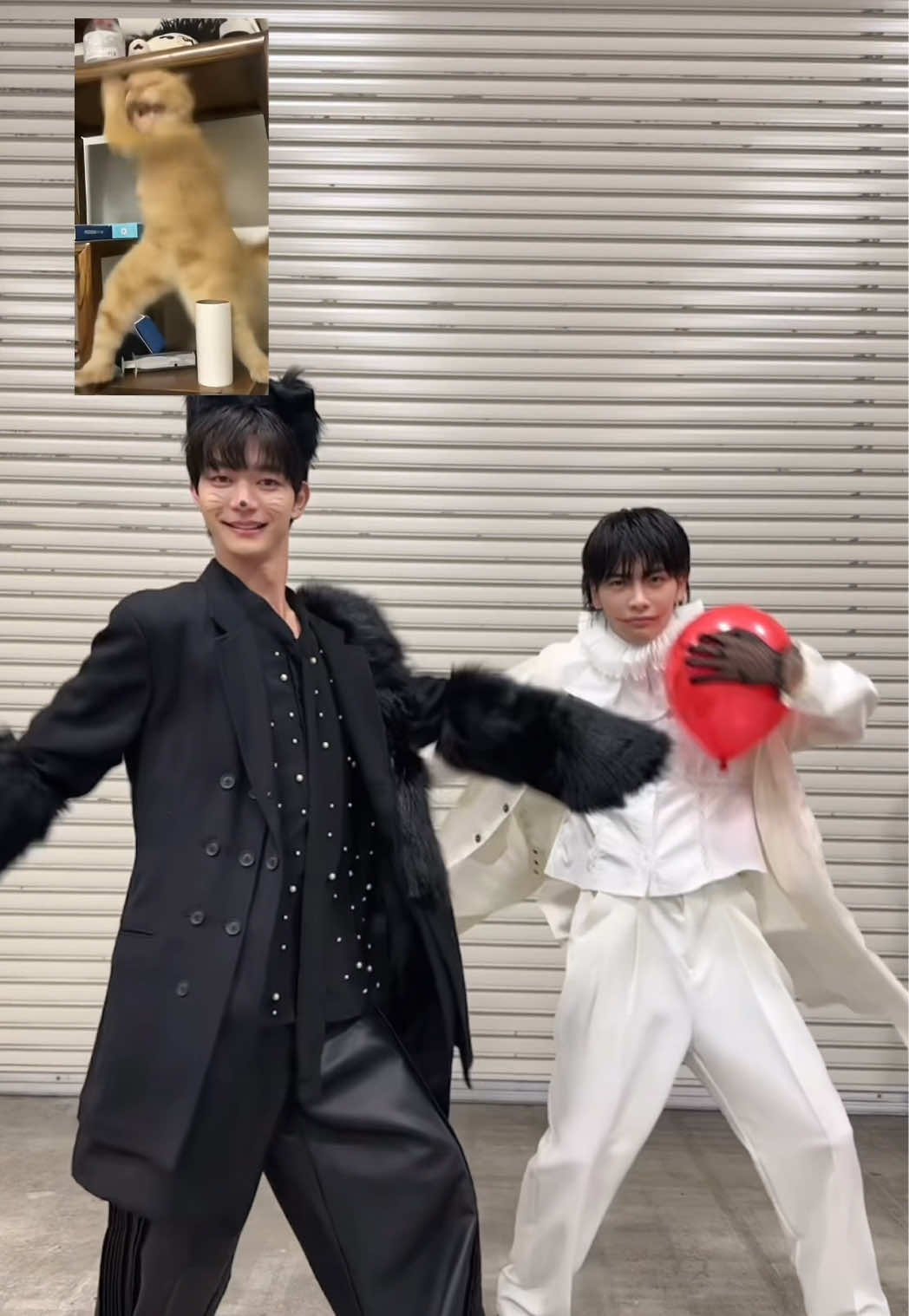 #武藤潤 #吉澤要人 #原因は自分にある。