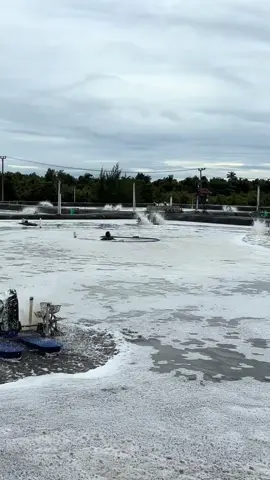 giliran pakde beraksi😂💪🏻 #anaktambak 