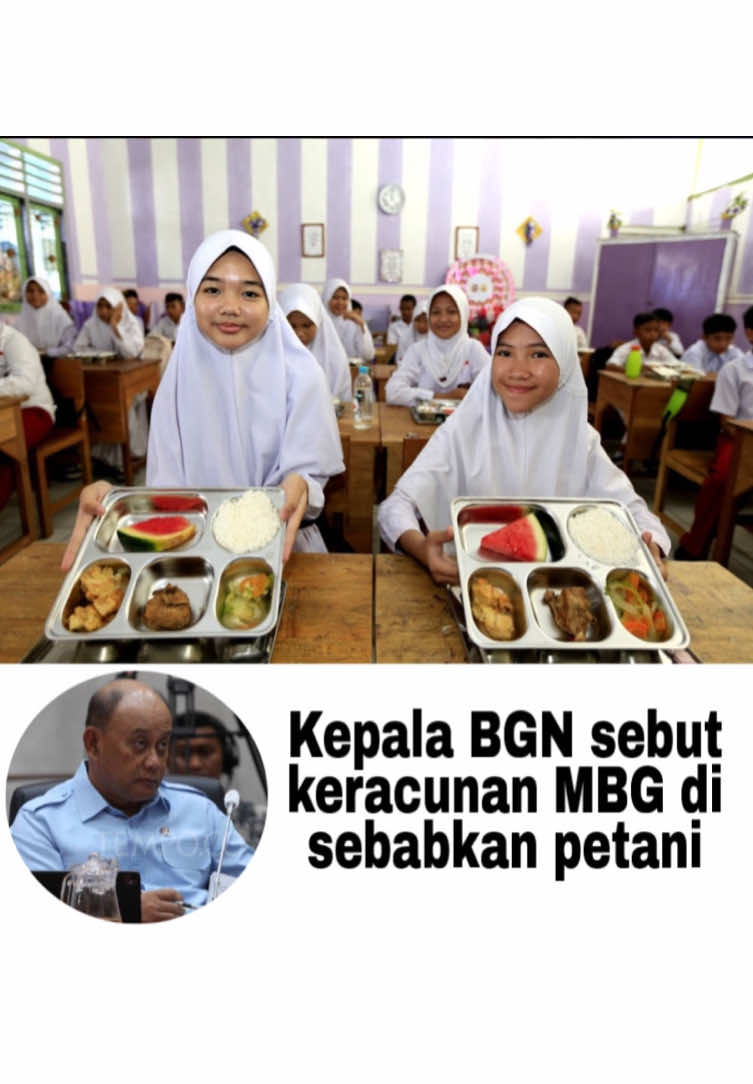 Kepala Badan Gizi Nasional (BGN) Dadan Hindayana mengungkap penyebab utama maraknya kasus keracunan pada program Makan Bergizi Gratis (MBG) di Jawa Barat. Berdasarkan kajian tim BGN, wilayah seperti Garut, Cianjur, Bandung Barat, dan Sleman termasuk daerah endemik dengan kadar nitrit tinggi dalam bahan pangan akibat praktik pertanian yang berlebihan menggunakan nitrogen. 
