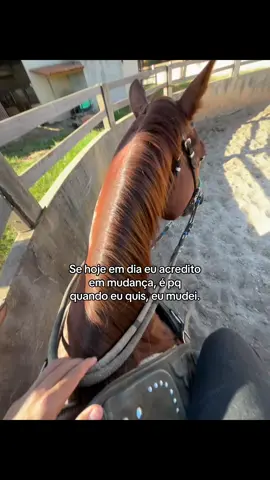 #vaquero #fyp #foryou #cavalo #vaquejada 