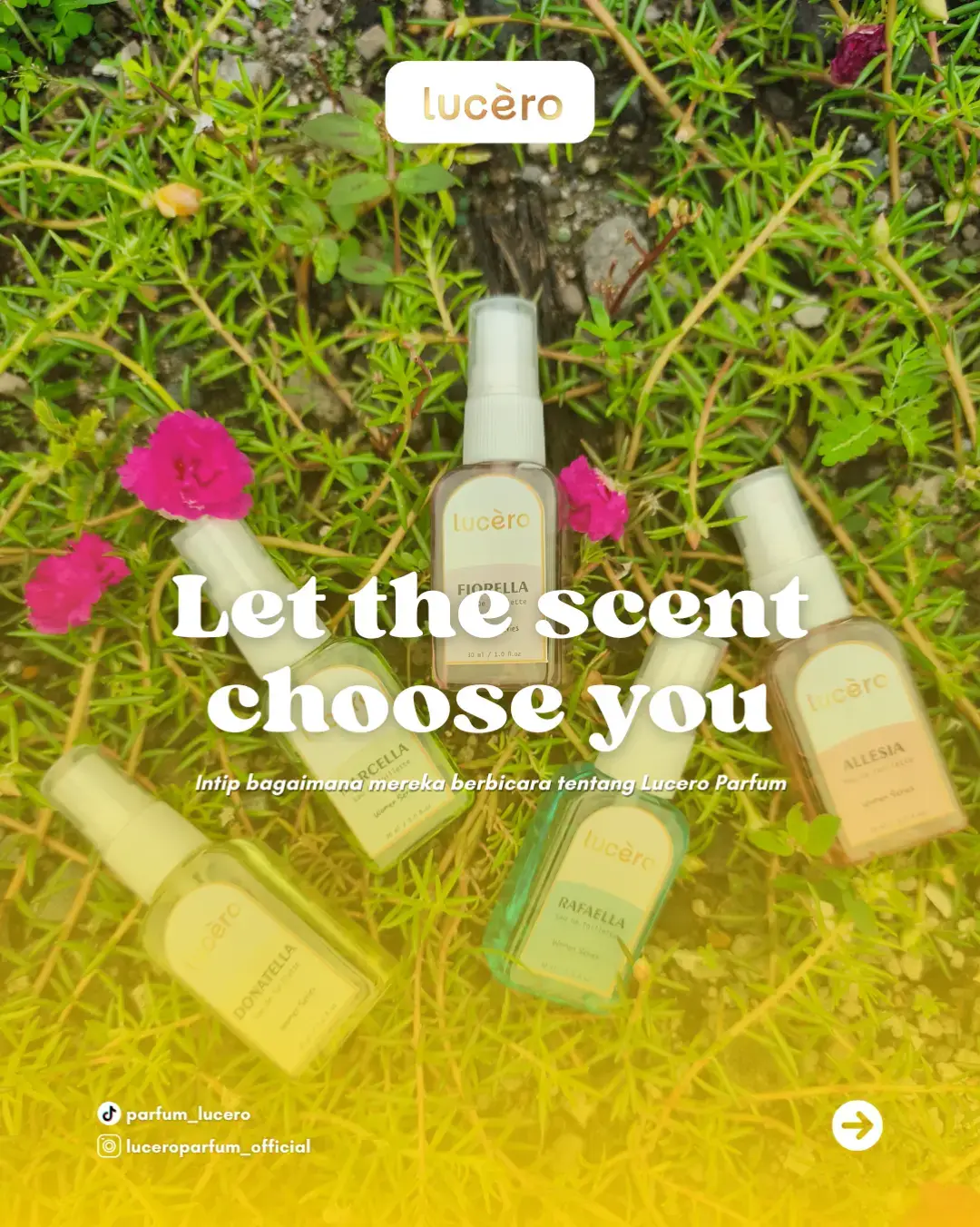 Kami bisa bilang parfum Lucero itu tahan lama dan wanginya premium, tapi rasanya lebih valid kalau testimoni itu datang langsung dari Anda, para pelanggan setia kami! 💖 Setiap botol Lucero diciptakan dengan dedikasi untuk memberikan pengalaman terbaik, dan kami senang sekali melihat respons positif ini.  Kami bangga produk kami mampu menemani aktivitas Anda seharian penuh, memberikan rasa percaya diri tanpa perlu spray ulang berkali-kali. Jangan cuma penasaran, rasakan sendiri pengalaman memakai parfum yang wanginya nempel seharian dan mengundang pujian! Geser gambar ke kiri untuk lihat lebih banyak honest review dari customer kami! ➡️ 🛒 Siap punya parfum signature yang bikin orang nanya 