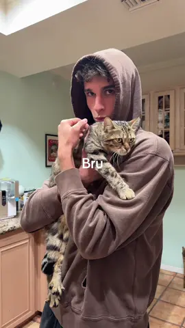 I made it #catloverbf 