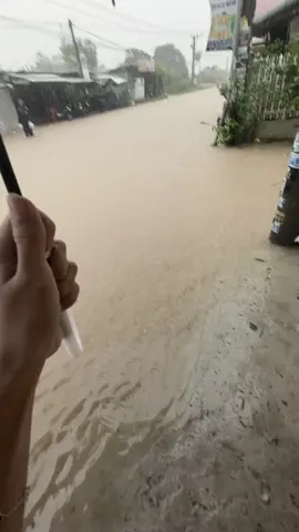 Thương bà con dân Khánh Hoà mình quá 😭😭 Trận lụt lịch sử đáng nhớ 2025… #lulut #camlam #xuhuong #viral 