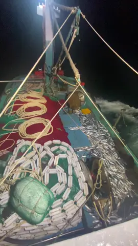 #dânbiển #luoirutbinhdinh #bachlong #phúquý #xuhuongtiktok2025💝💝 Quay video chưa kịp up nay mới up lên ..🐟🐟💵💵@Thanh Hùng. @TrươngCường388 