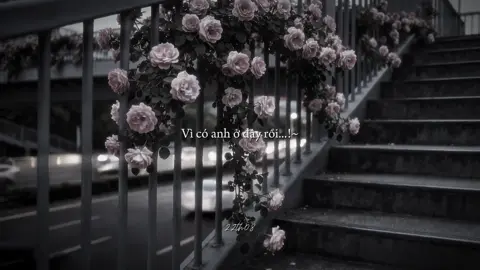 Mọi chuyện buồn cũng sẽ qua thôi vì có anh ở đây rồi...!~#fyp #lyricsvideo #09th02_8 #tamtrang #xuhuong 