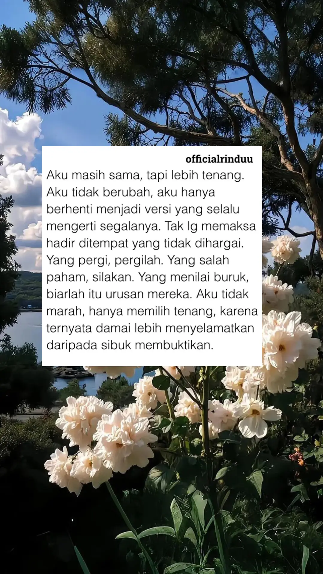 #quotes #quoteoftheday #quotestory #quotesaesthetic #katakata 