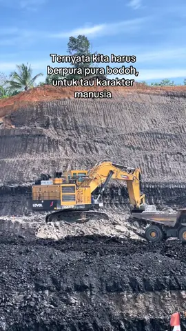 Pahlawan tidak mengakui diri nya pahlawan 😌😌 #anaktambang #storytambang #tambangbatubara #fypシ゚viral #kulitambang 