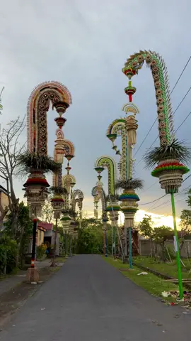 November In Bali. Galungan 19 November 2025 #penjorbali #galungan #galungandankuningan #bali #indonesia 