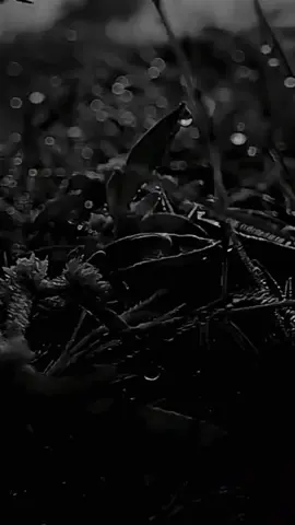 #anakrantau  #pejuangnafkah  #pejuangnafkahkluarga  #pejuangnafkahkeluarga  #semangatpejuangnafkah 