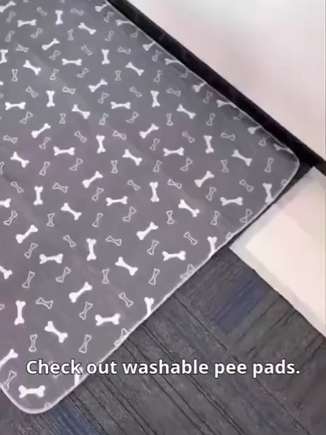 Keep your pup’s space clean and dry — over and over again! 🐾💧 #PetCare#PuppyLife#dogsoftiktok#DogTraining#puppylife