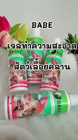 “ใครเลี้ยงสัตว์เลื้อยคลานต้องมีตัวนี้ติดบ้านค่ะ! เจลอาบน้ำ BABE ออกแบบมาเพื่อผิวของเต่า งู กิ้่งก่า เเละสัตว์เลื้อยคลานครบเลย กลิ่นอ่อนโยน ไม่มีสารระคายเคือง ช่วยลดกลิ่นตัว ทำให้ผิวเกล็ดดูเงาสุขภาพดี #รีวิวบิวตี้ #tiktokป้ายยา #เเอลดีบิวตี้ #ร้านดีบอกต่อ #เจลอาบน้ํา 