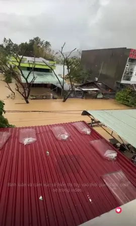 Ngập tới nóc hết rồi #fyp #viral #mùanướclũ #BìnhĐịnh #miềntrung 