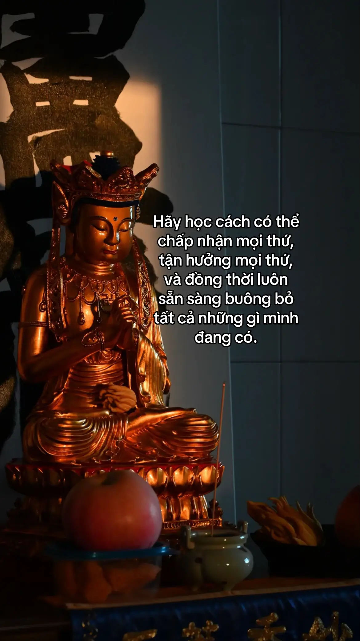 #phatphapnhiemmau #tamanmoingay #phatday #xh #viral 