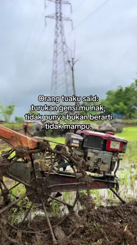 #petanimuda#petanibugis#masukberanda#fyppppppppppppppppppppppp 