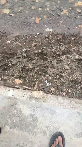 kebakaran di Labota#morowali_sulteng_bahodopi #labota 