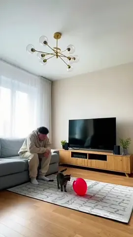 Sorry 🤣  #fyp #viral #rekomendasi #lucu 