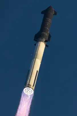 #elonmusk #viral_video #goviral #fyp #world 