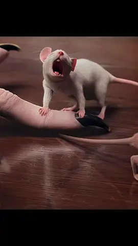 ##editz #clip #foryou 