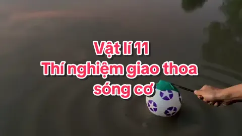 Vật lí 11. Thí nghiệm giao thoa sóng cơ. #vatli