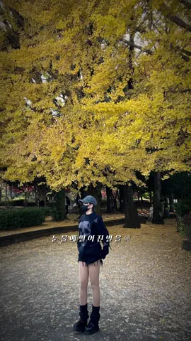 Phù thuỷ Ba Tư🦅🎭