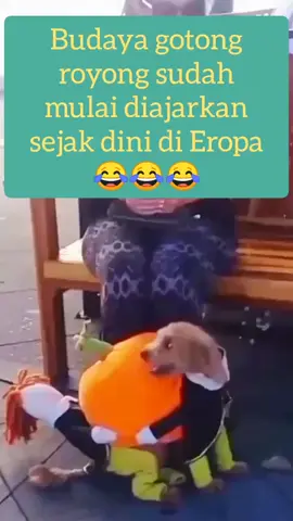 kepala sama ekor nya kompak #fypage #viral #fyp 