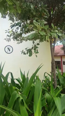 baby anyaran😭🤏🏻#fyp #smkhebatsmkbisa #4u #lewatberandafyp #10aphp 