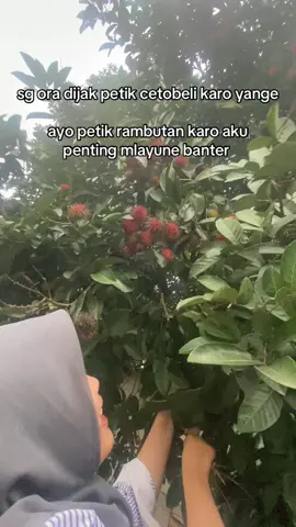 tidak dipungut biaya  #fyppppppppppppppppppppppp #petik #tuban #maibit #soundviral 