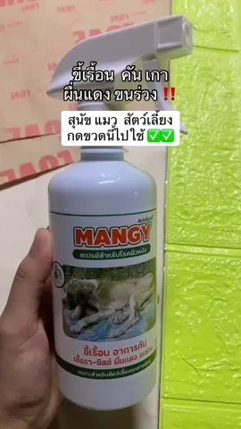 พิกัด ในตะกร้า‼️‼️ #สเปรย์แมนจี้  #สเปรย์แมนจี้สําหรับโรคผิวหนังสัตว์เลี้ยง  #ขี้เรื้อน #ทาสหมาทาสแมว 