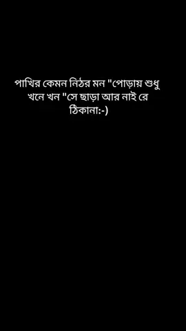 মায়ার পাখি বুঝলো না,, ছাইড়া গেলো মায়ার ঠিকানা 🥀✈️😥#tiktok #bangladesh🇧🇩 @TikTok 