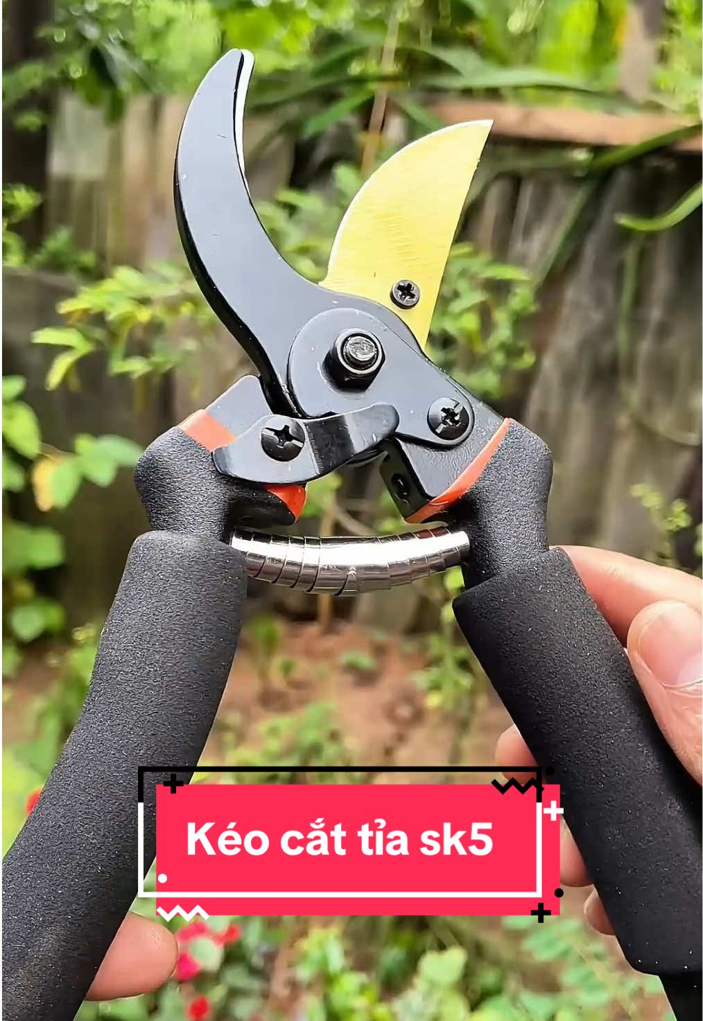 Chỉ cần đơn giản vậy thôi đã đã khiến ông bà - cha mẹ mình vui rồi đó 😁 #keosk5 #keocattiacanhcay #keocatcanh #bonsai #giadungtienich 