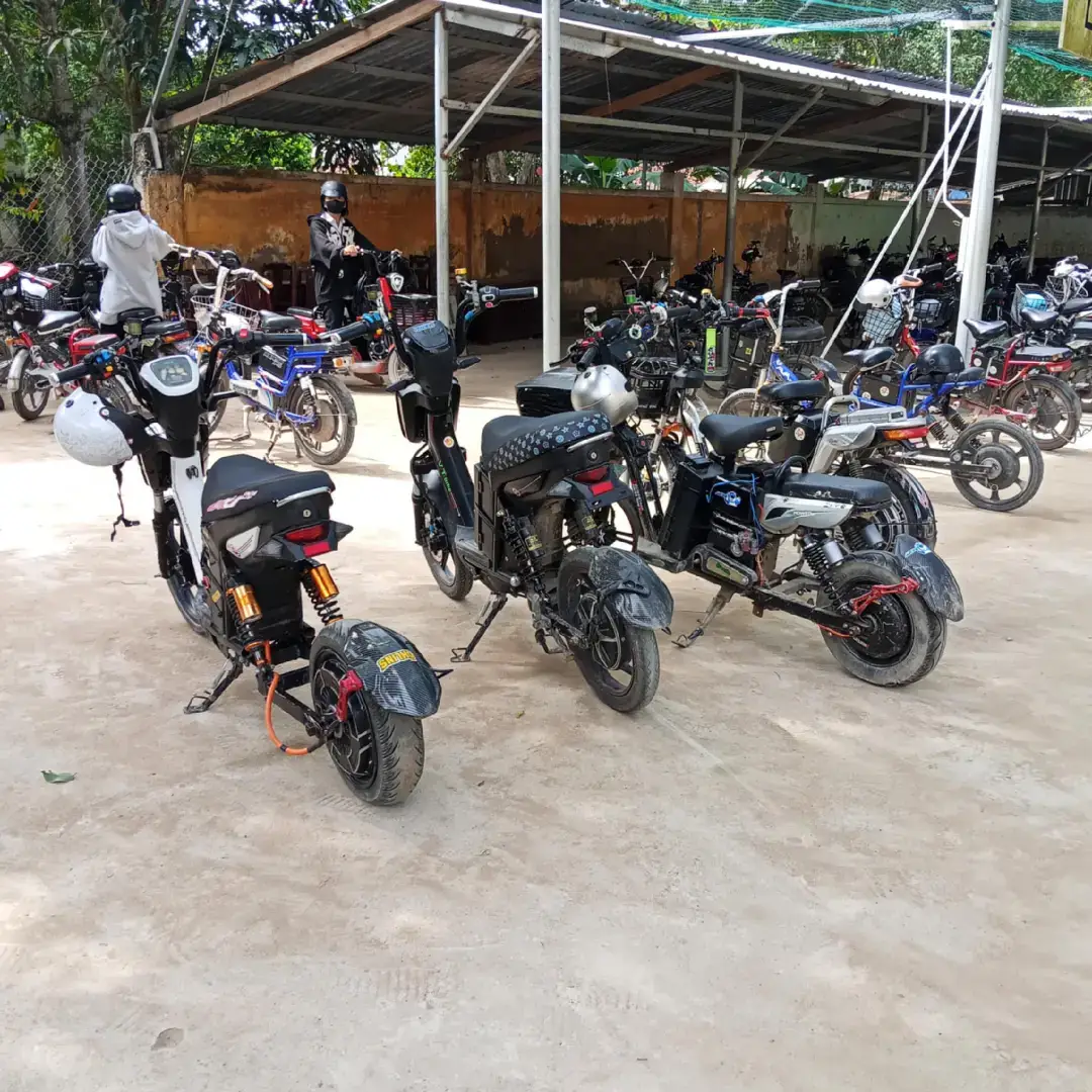 #tiktok #xediendovietnam🇻🇳 #xuhuong #g #xediendobentre🌴 