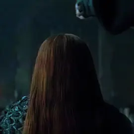 راحو الغالين💔 ||#fyp #foryou #foryoupage #robertbratheon #nedstark 