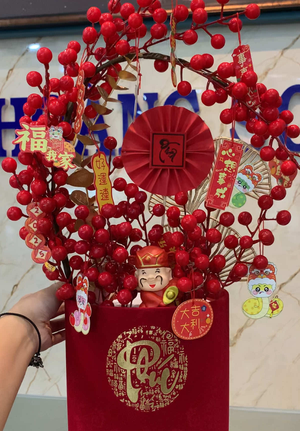 Đặt chậu đào đông này trong nhà mà thấy không khí Tết gần quá rồi #tet2026 #tetdoanvien #tetdennoiroi 