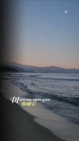 Muôn vạn người quen có mấy người là bạn #nhachaymoingay #lyricsvideo #fyp #xuhuongtiktok #triinnhchiien 