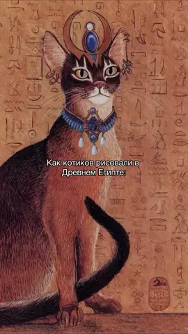 #мем #кот #животные #котик 