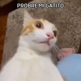 nghe riết ám ảnh #xhtiktok #xh #xhhhhhhhhhhhhhhhhhhhhhhh 