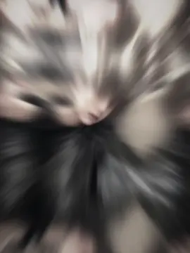 #pangbowen #庞博文 