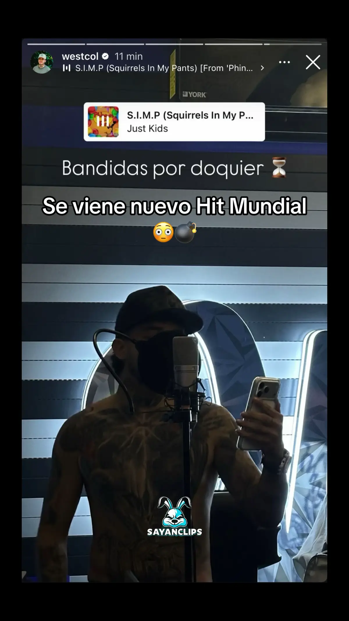 #westcol #ardillaspordoquier 