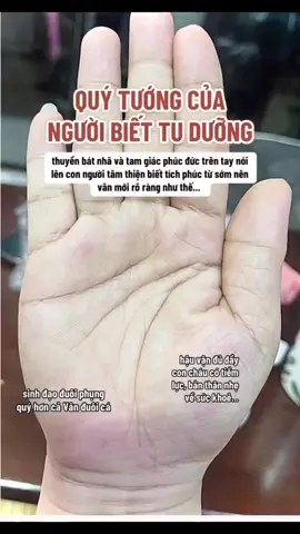 Mn xem đúng ko.#chitay #chitaytuongso #xemchitay #phongthuy #tuongso 