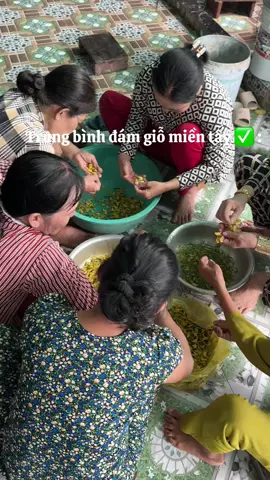 Quá xá đoãaaa #damgiomientay #63tiengiang #xuhuong #xuhuongtiktok 