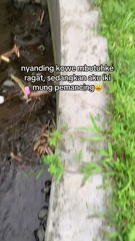 Microfish dulu #storymancing #mancing #infospotmancing #blitar24jam 