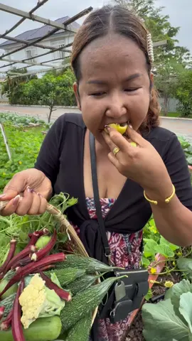 #ធម្មជាតិក្នងភូមិតាកែវ🦋🇰🇭💜 #ត្រពាំងអណ្ដើក #fypシ💜 